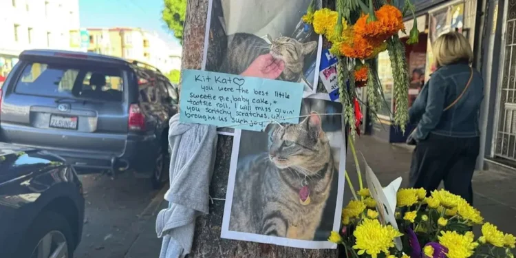 Picture Credit: YahooNews