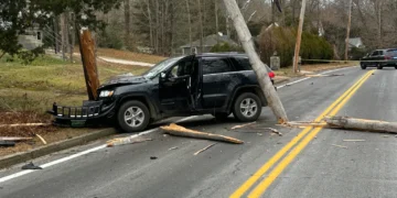 Picture Credit: FOX 13 Tampa Bay