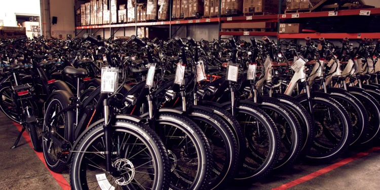 Picture Credit: Rad Power Bikes