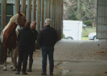 Picture Credit: KING 5 News