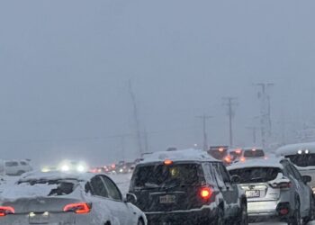 Picture Credit: KOMO News