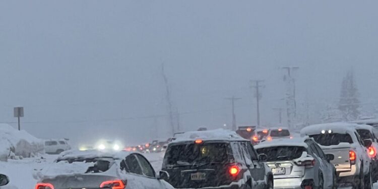 Picture Credit: KOMO News