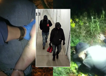 Picture Credit: FOX 13 Seattle