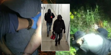 Picture Credit: FOX 13 Seattle