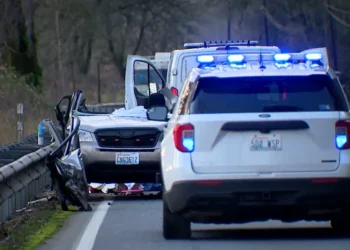 Picture Credit: KOMO News