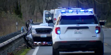 Picture Credit: KOMO News