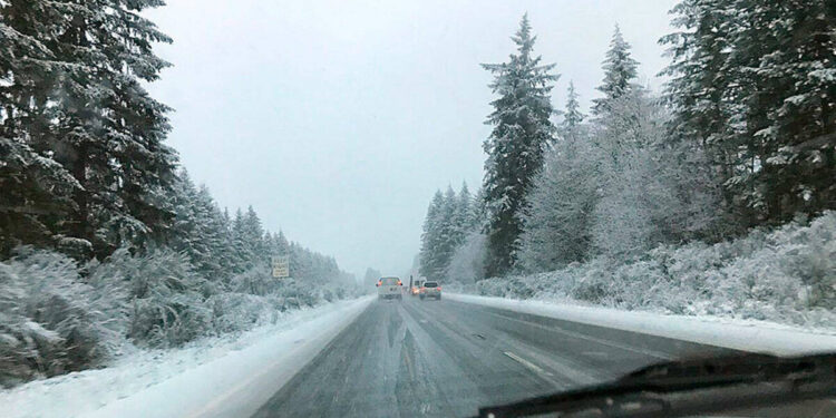 Picture Credit: Kitsap daily News