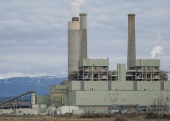 Picture Credit: KUOW