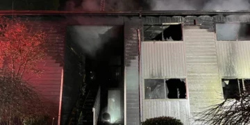 Picture Credit: KOMO News