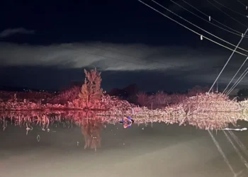 Picture Credit: KATU