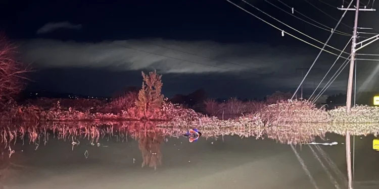 Picture Credit: KATU