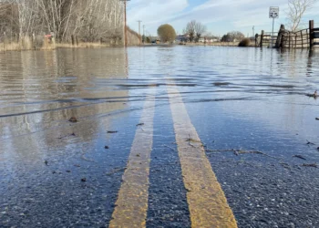 Picture Credit: Newsweek