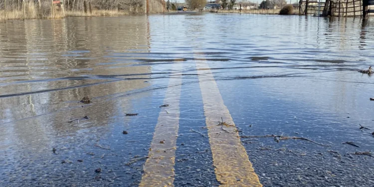 Picture Credit: Newsweek