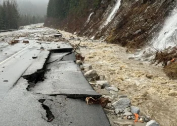 Picture Credit: KOMO News