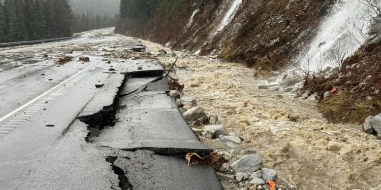 Picture Credit: KOMO News