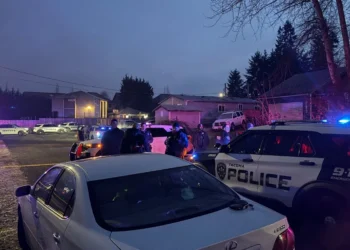 Picture Credit: KOMO News