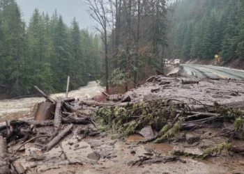 Picture Credit: KOMO News