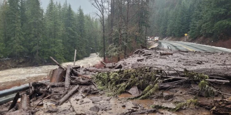 Picture Credit: KOMO News