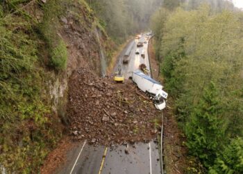 Picture Credit: Home Gnome