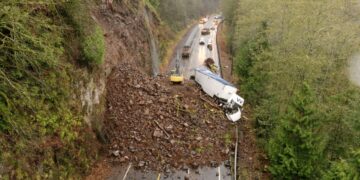 Picture Credit: Home Gnome