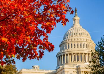 Picture Credit: Expedia