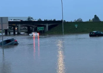 Picture Credit: KOMO News