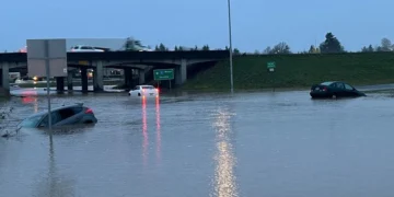 Picture Credit: KOMO News