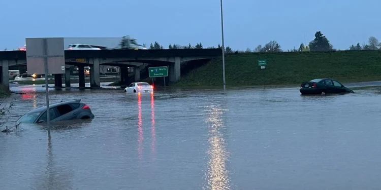 Picture Credit: KOMO News