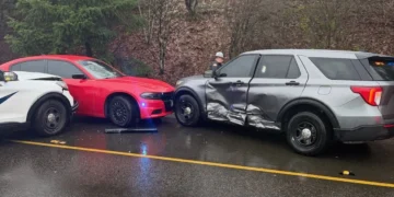 Picture Credit: KOMO News