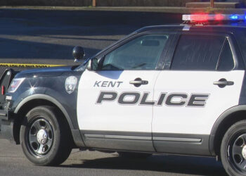 Picture Credit: KOMO News