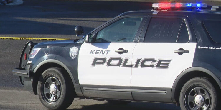 Picture Credit: KOMO News