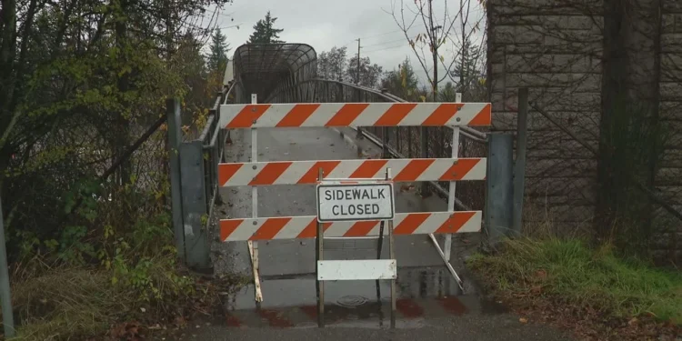 Picture Credit: KOMO News