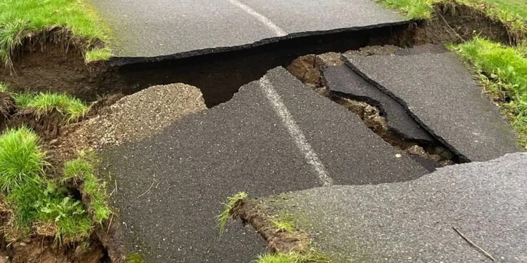 Picture Credit: KOMO News