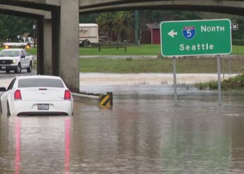 Picture Credit: KING 5 News