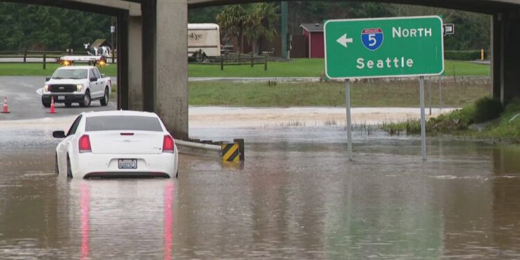 Picture Credit: KING 5 News