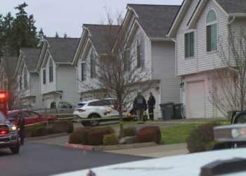 Picture Credit: KING 5 News