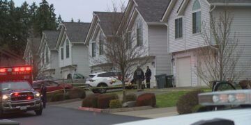 Picture Credit: KING 5 News