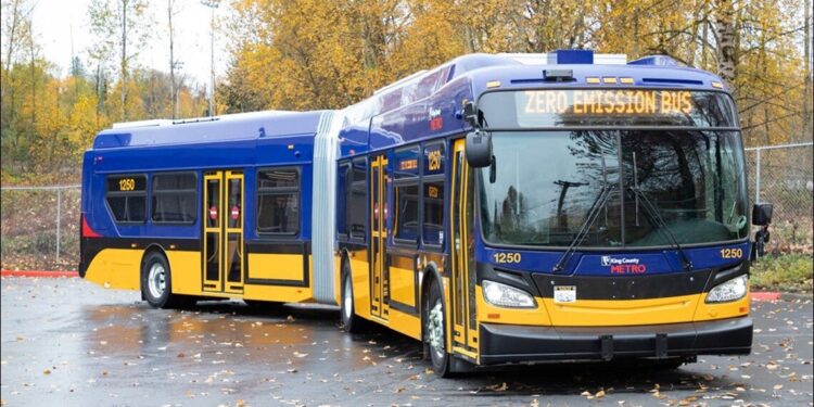 Picture Credit: KING 5 News