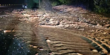 Picture Credit: The National Desk