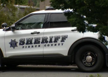 Picture Credit: KOMO News