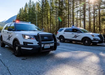 Picture Credit: The Seattle Times