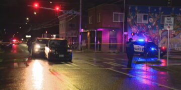 Picture Credit: KOMO News