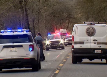 Picture Credit: KOMO News