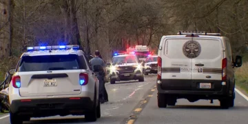 Picture Credit: KOMO News