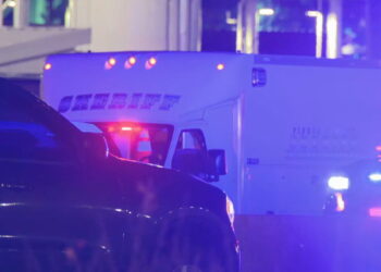 Picture Credit: KOMO News