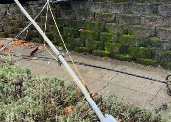 Picture Credit: KOMO News