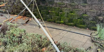 Picture Credit: KOMO News