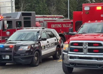 Picture Credit: KOMO News