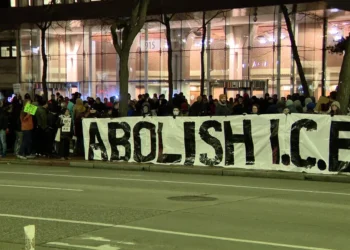 Picture Credit: FOX 13 Seattle