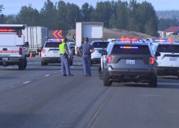 Picture Credit: KING 5 News